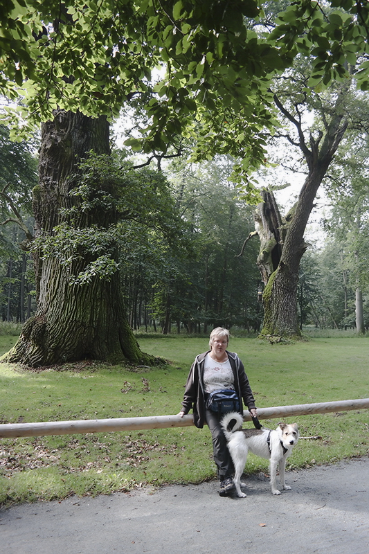 Felix Mecklenburgische Seenplatte SAM_3826 Kopie.jpg - In Waren/Müritz haben wir dem Tierpark mit seinem Baumriesen einen Besuch abgetattet.